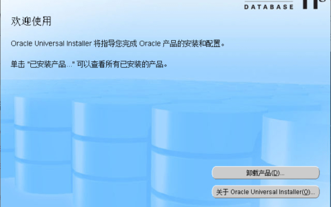 如何将Oracle11g卸载干净